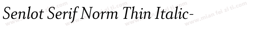 Senlot Serif Norm Thin Italic字体转换